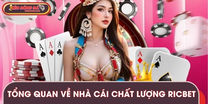 Tổng quan một số điểm về nhà cái chất lượng RICBET